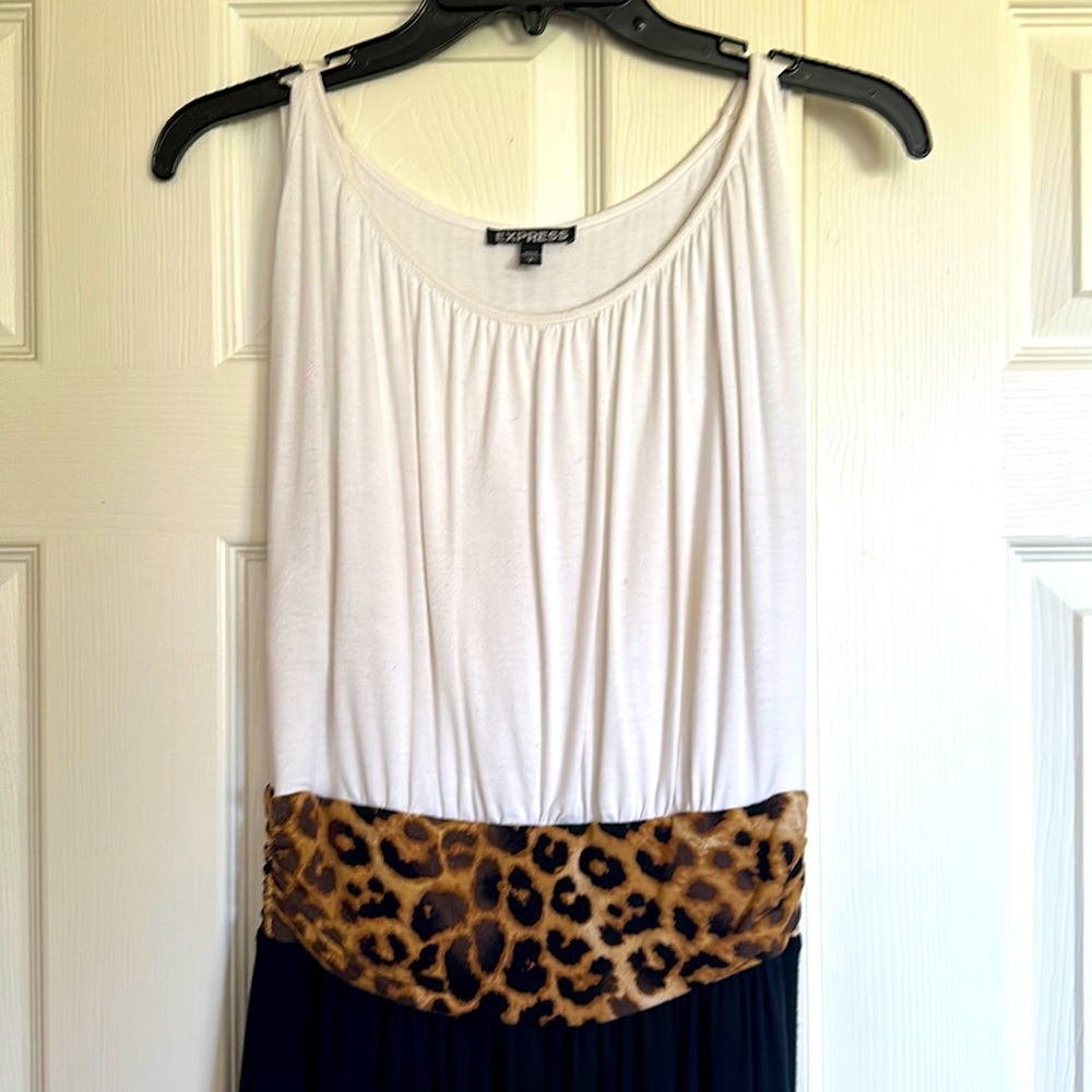 Express dress